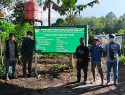 Poktan Anugrah Alam Lagai Desa Balawa Terima Bantuan Bibit Sengon Dari Kementrian Lingkungan Hidup dan Kehutanan