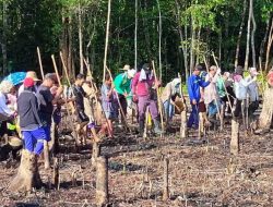 Tradisi Mu’au: Miniatur Demokrasi Masyarakat Dayak Maanyan di Barito Timur