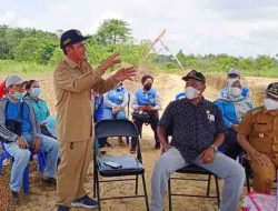 Tahun 2022 Barito Timur Kembangkan Jagung Pakan Seluas 800 Hektare