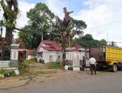 Membahayakan, Beberapa Pohon di Seberang Kantor Bupati Barito Timur Ditebang