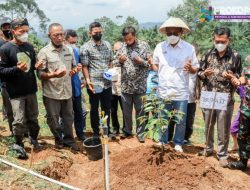 Bupati Ciamis Buka RAT Koperasi dan Tanam Pohon Durian Bersama Warga di Kalijaya