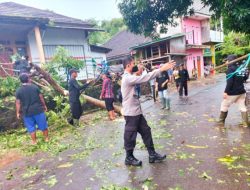Polisi Evakuasi Pohon Tumbang Menutup Akses Jalan Protokol