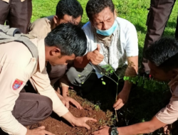 Kepala SMAN 6 Jeneponto Berkolaborasi Tanam Pohon Dengan Kapolsek dan PPK Kel.Tolo Kota