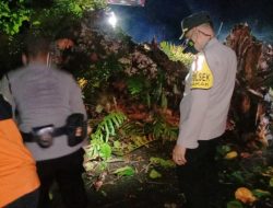 Perlancar Arus Mudik,Polisi Di Sukabumi Sigap Evakuasi Pohon Tumbang Ruas Jalan Nasional Cisolok