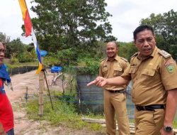 SMKN 1 Indralaya Selatan Sukses Budidaya Lele, Ketua Komite: Semoga Esok Bisa Produksi Pelet Sendiri