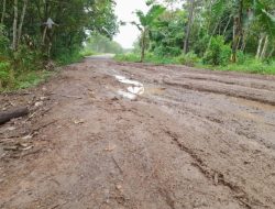 Jalan Lintas Alternatif Tanjung Raja-Muara Kuang Baru Dibangun Sudah Rusak