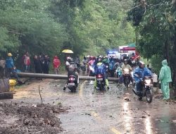 Tiang Listrik Tutup Akses Jalan di Simpenan Sukabumi Akibat Longsor dan Pohon Tumbang, P2BK: Sudah Dievakuasi