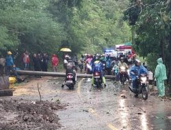 Tiang Listrik Roboh di Simpenan Sukabumi Akibat Longsor dan Pohon Tumbang,P2BK Segera Evakuasi TKP