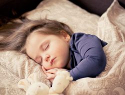 Berapa Jam  Perbedaan Jam Tidur Siang Dewasa dengan Anak-anak ? Simak Penjelasan Berikut!