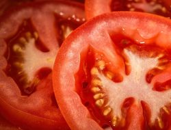 Ternyata, Tomat Punya Dampak Buruk  Bagi Kesehatan, Baca Selengkapnya disini!