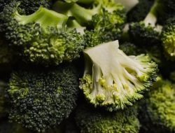 Inilah Manfaat Besar Konsumsi Brokoli Bagi Kesehatan Tubuh, Salah Satunya Bisa Cegah Keriput di Wajah