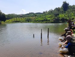 Upaya Pelestarian Ikan Dan Lingkungan, Dinas Perikanan Kab.Sukabumi Rilis Ikan Di Cekdam Desa Waluran Mandiri