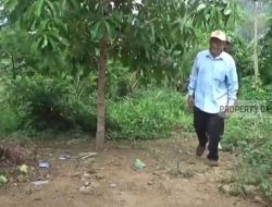 VIDEO: Sebuah kejutan menggembirakan bagi warga di Kampung Batusapi Sawah, Kelurahan/Kecamatan Palabuhanratu, ketika sekelompok orang tiba-tiba mendatangi rumah-rumah mereka dengan membawa bingkisan makanan, Selasa (28/11/2023).   Para pendatang tak terduga ini, dipimpin oleh anggota DPRD Kabupaten Sukabumi dari Fraksi Partai Gerindra, Usep Wawan, yang menggelar aksi pembagian bingkisan makanan dan minuman susu secara cuma-cuma kepada warga.   Dalam keterangannya, Ketua Fraksi Gerindra/Caleg Dapil 1 Kabupaten Sukabumi ini menyatakan, bahwa kegiatan ini menandai dimulainya kampanye serentak di tingkat nasional dan lokal, melibatkan Kabupaten Sukabumi.