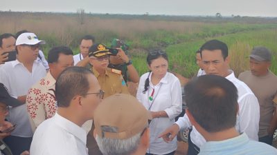 Sekda Muhsin Abdullah  Dampingi  Menteri Pertanian Kunker Desa Embacang Lubuk Keliat