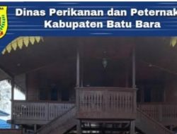 Celotehan Nelayan Bongkar Dugaan Pungli Surat Rekomendasi BBM di Batubara : Mengungkap Praktik Merugikan