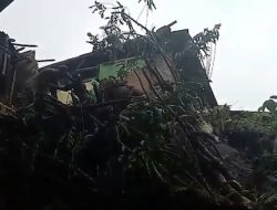 Pohon Tumbang Akibatkan 2 Rumah Warga Rusak Berat di Simpenan Sukabumi