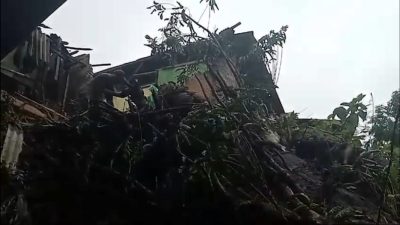 Pohon Tumbang Akibatkan 2 Rumah Warga Rusak Berat di Simpenan Sukabumi