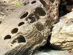Disbudpora Kabupaten Sukabumi Selidiki Penemuan Diduga Batu Dakon di Aliran Sungai Cikarang Ciracap Sukabumi